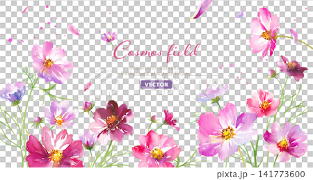 Autumn Flowers: Banner background featuring a field of autumn cosmos flowers - watercolor illustration (vector) Autumn Flowers: Banner background featuring a field of autumn cosmos flowers - watercolor illustration (vector) 141773600