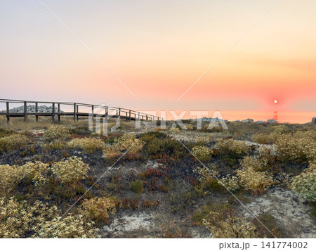 Golden sunset over coastal dunes in Furadouro Golden sunset over coastal dunes in Furadouro 141774002