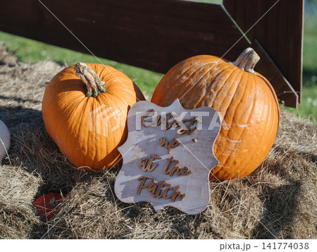 Two large orange pumpkins stand beside a wooden Cutest in the Patch sign on dry hay. The rustic outdoor arrangement creates a playful autumn display for Halloween and harvest season. Two large orange pumpkins stand beside a wooden Cutest in the Patch sign on dry hay. The rustic outdoor arrangement creates a playful autumn display for Halloween and harvest season. 141774038