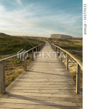 Wooden boardwalk path through dunes in Furadouro Wooden boardwalk path through dunes in Furadouro 141774115