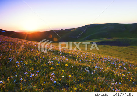 Wildflower Meadow Sunset Over Rolling Green Mountain Hills 141774190