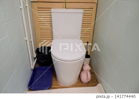 Contemporary Bathroom Setting. Stylish Toilet Area With Accessories. Modern Restroom With Cleaning Supplies And Decor. Wellarranged Bathroom Corner Featuring Hygiene Tools And Fixtures 141774440