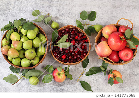 Apples, pears and cherries in baskets on a sunlit concrete table, Thanksgiving background, rustic harvest, healthy natural food concept, detox diet and body cleansing, banner for screen, business card Apples, pears and cherries in baskets on a sunlit concrete table, Thanksgiving background, rustic harvest, healthy natural food concept, detox diet and body cleansing, banner for screen, business card 141775069