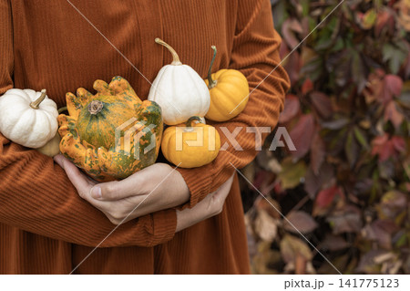 Person holding white and orange pumpkins and gourd in autumn dress Person holding white and orange pumpkins and gourd in autumn dress 141775123