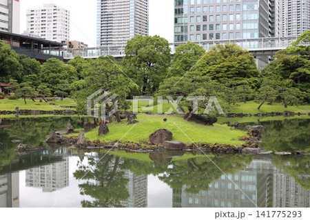 浜離宮恩賜庭園の池に映る高層ビル 浜離宮恩賜庭園の池に映る高層ビル 141775293
