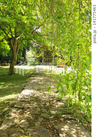 愛媛県大洲市 如法寺の風景 愛媛県大洲市 如法寺の風景 141775463