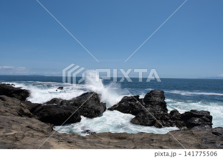 三浦半島 城ヶ島の岩礁に打ち寄せる荒波 うねり 波しぶき 三浦半島 城ヶ島の岩礁に打ち寄せる荒波 うねり 波しぶき 141775506