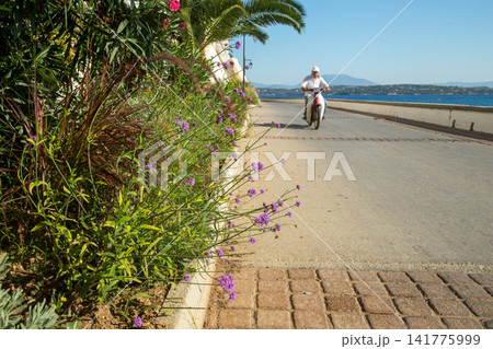 View on  road at Spetses - one of fantastic of Greek islands and awe pink flowering  and  blurred motion moped in summer 141775999