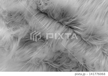 Grey soft wool pattern texture abstract gray fluffy fur background structure backdrop Grey soft wool pattern texture abstract gray fluffy fur background structure backdrop 141776068