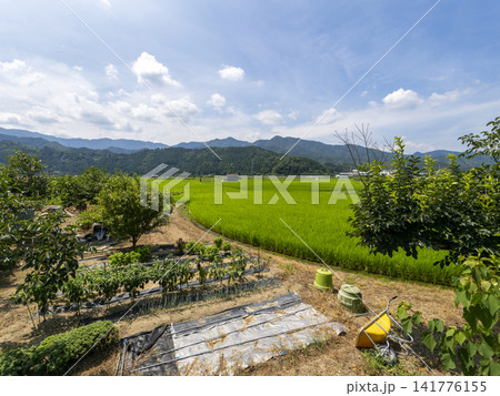 鳥取県八頭郡八頭町の畑と田園風景 141776155