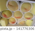 美味しそうな桃 141776306