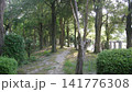 緑に囲まれた道 141776308