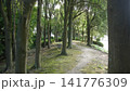 静かな森の小道 141776309