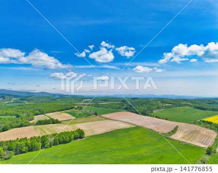 空散歩 141776855