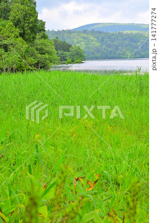 尾瀬沼 大江湿原からの眺め 夏の風景 尾瀬沼 大江湿原からの眺め 夏の風景 141777274