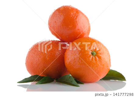 Tangerines Tangerines 141777298