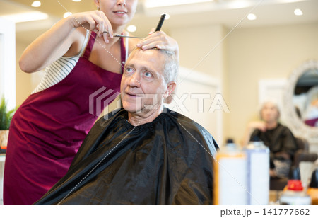 Senior gray-haired male client getting haircut in hairdressing salon Senior gray-haired male client getting haircut in hairdressing salon 141777662