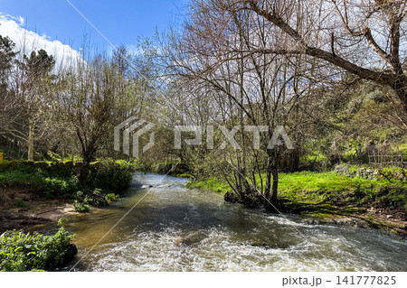View over the Cavalo River 141777825