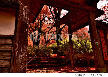 紅葉が美しい晩秋の風景 141777869