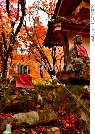 紅葉が美しい晩秋の風景 紅葉が美しい晩秋の風景 141777870