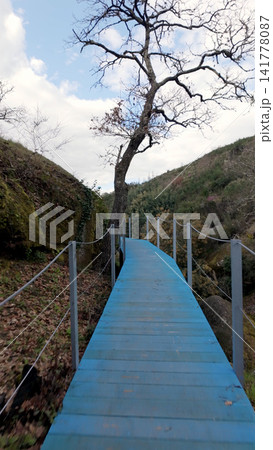 Blue wooden walkway on the Trilho dos Gaios trail in Tabua Portugal Blue wooden walkway on the Trilho dos Gaios trail in Tabua Portugal 141778087
