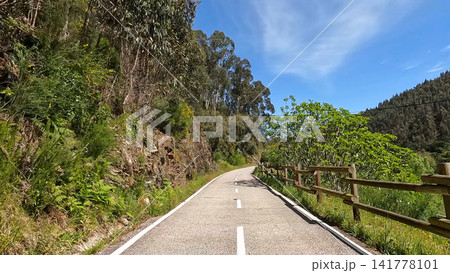 Cycling on a scenic paved path through the lush green forests of Sever do Vouga in Portugal Cycling on a scenic paved path through the lush green forests of Sever do Vouga in Portugal 141778101