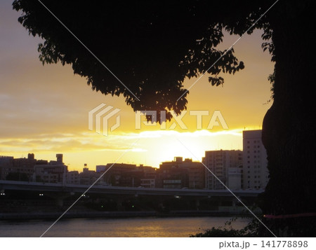 隅田川の夕暮れ 隅田川の夕暮れ 141778898