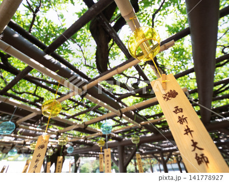 西新井大師　風鈴祭り　東京都 141778927