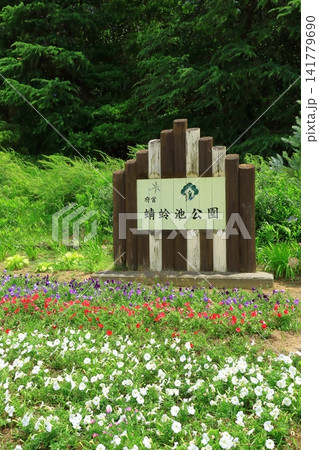 蜻蛉池公園 蜻蛉池公園 141779690