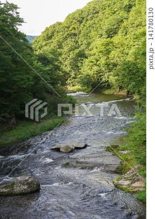 豊かな自然が残る群馬県・吹割渓谷の上流の風景 141780130