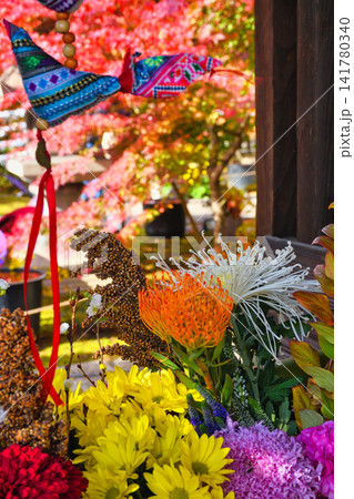 京都 勝林寺 秋の美しい境内と花手水(京都府京都市東山区) 京都 勝林寺 秋の美しい境内と花手水(京都府京都市東山区) 141780340