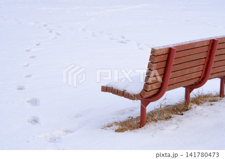 雪に覆われた静かな冬の公園の赤いベンチ 141780473