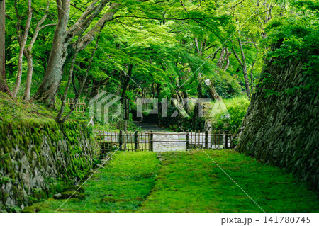 【滋賀県東近江市】百済寺 苔むす表門前と新緑の絶景 【滋賀県東近江市】百済寺 苔むす表門前と新緑の絶景 141780745