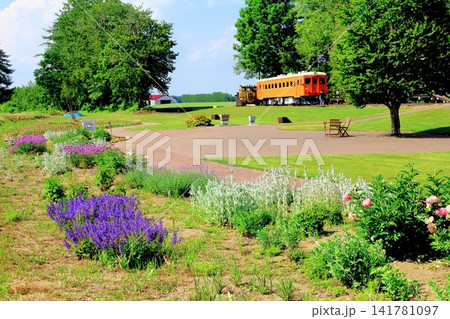 北海道紀行 6月の幸福駅と花畑牧場 春の幸福駅 北海道紀行 6月の幸福駅と花畑牧場 春の幸福駅 141781097