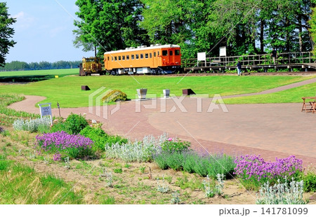 北海道紀行 6月の幸福駅と花畑牧場 春の幸福駅 北海道紀行 6月の幸福駅と花畑牧場 春の幸福駅 141781099