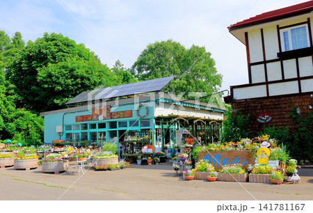 北海道紀行 6月の紫竹ガーデン 春の紫竹ガーデン 北海道紀行 6月の紫竹ガーデン 春の紫竹ガーデン 141781167