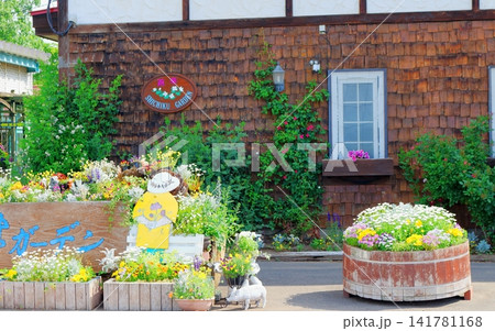北海道紀行　　　6月の紫竹ガーデン　　　春の紫竹ガーデン 141781168