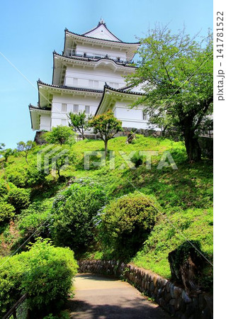 北条氏の本拠として建った難攻不落… 無敵の城とも呼ばれた『小田原城』 北条氏の本拠として建った難攻不落… 無敵の城とも呼ばれた『小田原城』 141781522