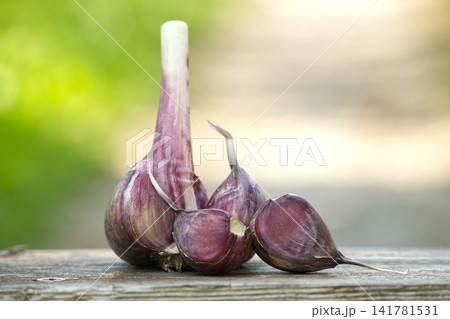 Purple Garlic Bulb And Cloves On Wooden Surface With Soft Bokeh Background Purple Garlic Bulb And Cloves On Wooden Surface With Soft Bokeh Background 141781531
