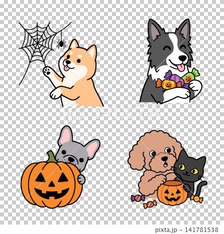 ハロウィンを楽しむ犬と黒猫のかわいいアイコン4種セット ハロウィンを楽しむ犬と黒猫のかわいいアイコン4種セット 141781538