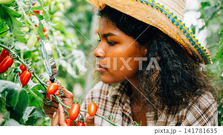 Botanist with a magnifying glass meticulously inspects a tomato plant for lice in herbology research ensuring vegetable quality Botanist with a magnifying glass meticulously inspects a tomato plant for lice in herbology research ensuring vegetable quality 141781635