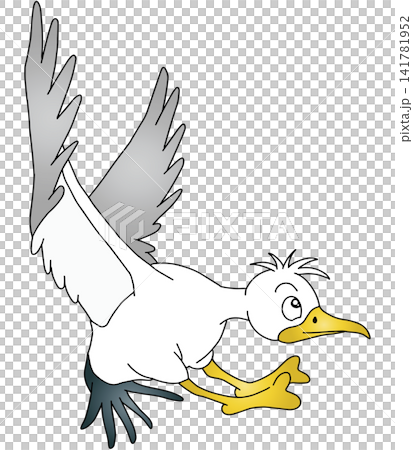 Hand-drawn animal illustration ☆ Seagull Hand-drawn animal illustration ☆ Seagull 141781952