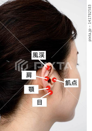 耳にある五つのツボと腎を示した女性の横顔 耳にある五つのツボと腎を示した女性の横顔 141782583