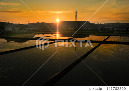 海老名の日の出風景 海老名の日の出風景 141782890