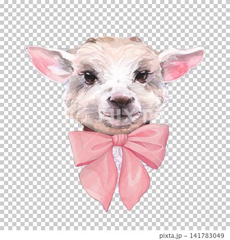 Hand-drawn watercolor illustration of a cute baby goat kid with a pink bow. Adorable animal portrait isolated on white background 141783049