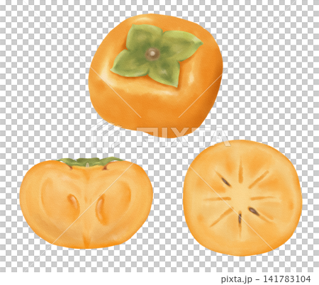 A set of three watercolor paintings of persimmons. A set of three watercolor paintings of persimmons. 141783104
