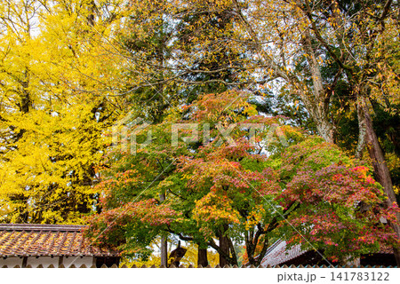 色とりどりの紅葉に包まれる秋の寺院 141783122