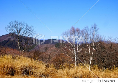 【神奈川県】陣場高原山頂の草紅葉と奥多摩の山並み 【神奈川県】陣場高原山頂の草紅葉と奥多摩の山並み 141783764