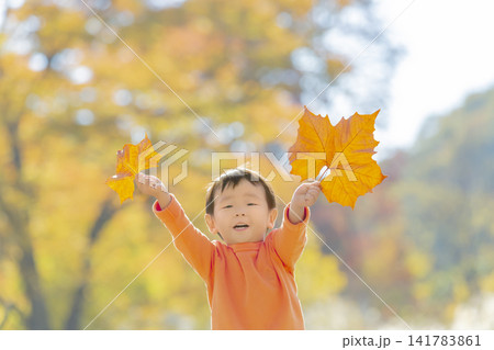 紅葉の公園で遊ぶ男の子 141783861