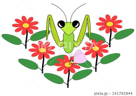 花畑の中から出現してチョウを狙うカマキリ 141783944